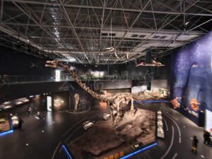 gallery