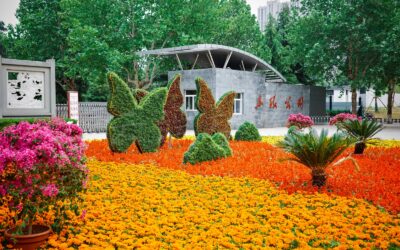 石家庄市东环公园